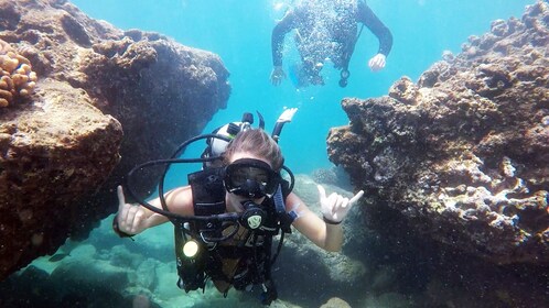 Tour de buceo para principiantes en West Palm Beach