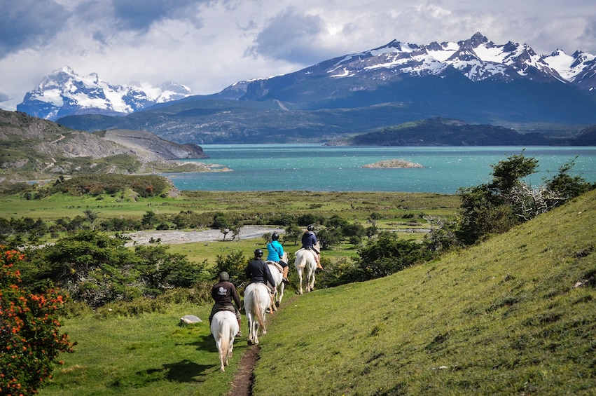 Group horseback riding in Chile