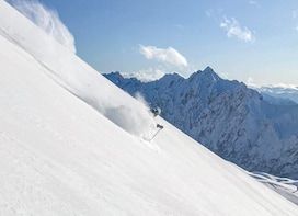 Alpine Ski Day