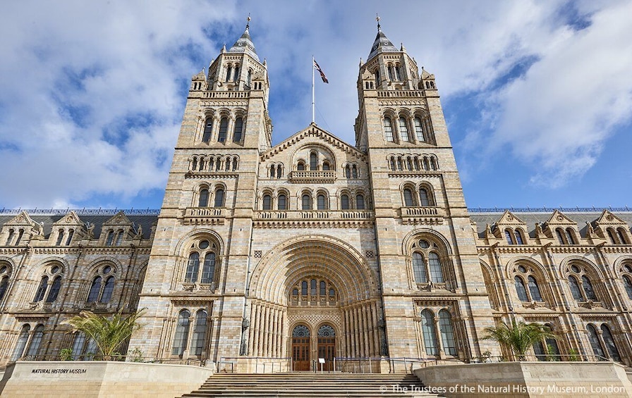 Natural History Museum London Family Tour