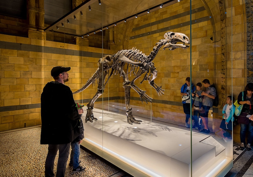 Visitors look at dinosaur in glass display