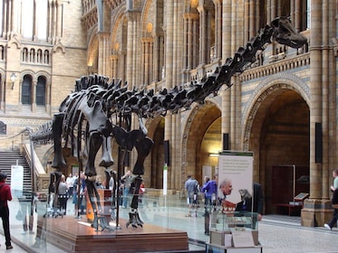 Visita familiar al Museo de Historia Natural de Londres