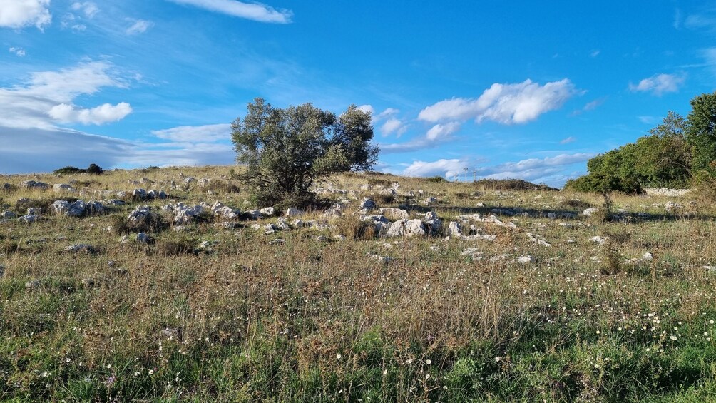 Matera Rock Churches Walking Tour with Shared Transfer & Sunset View