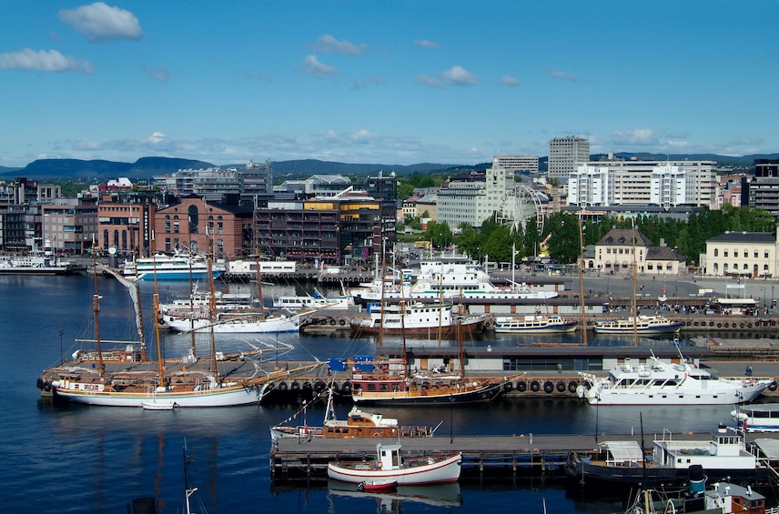 Show item 1 of 5. The Essential Oslo Walking Tour