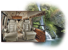 Road to Hana Picnic via Luxury Limo-Van