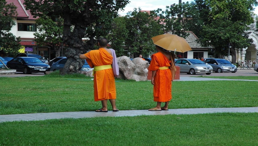 Chiang Mai City and Temple Tour  