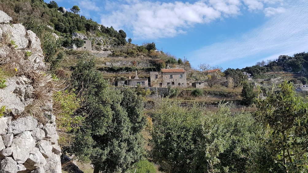 Path of Gods: Hiking Tour from Sorrento