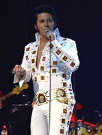 Elvis Live Tribute