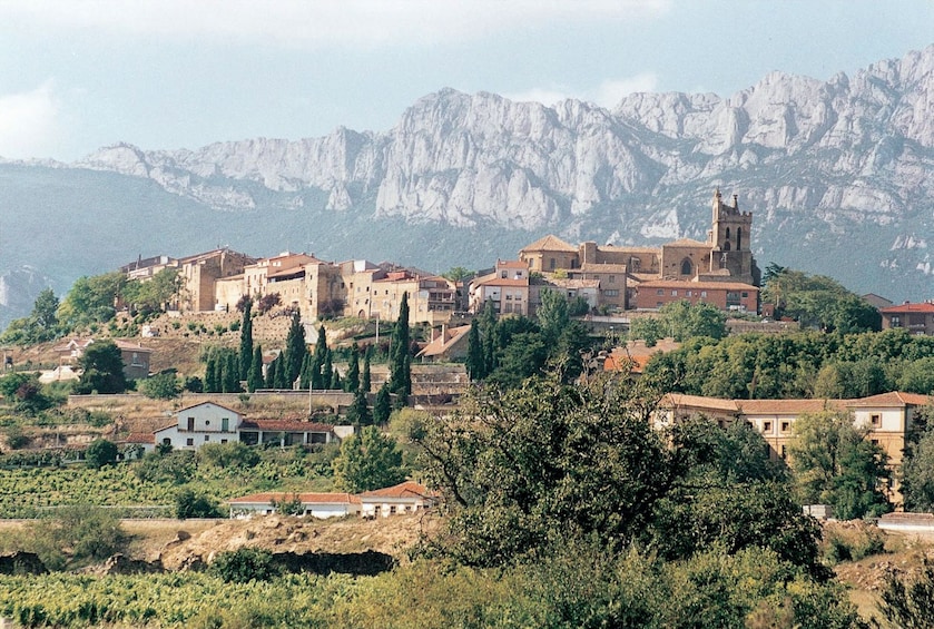 Wine village in the Basque Country