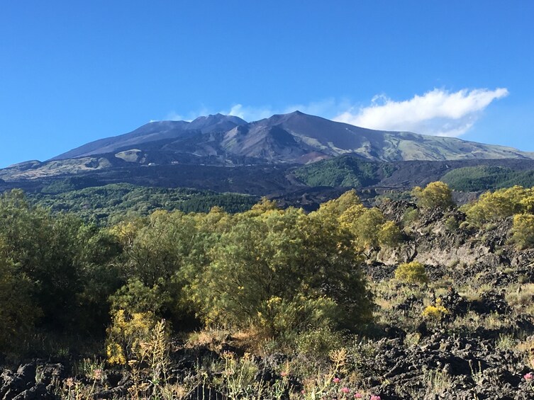 Winter Classic Etna Experience from Catania