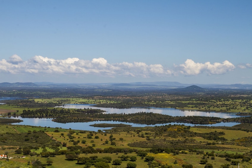 Full-Day Tour to Alqueva Dam and Moura with Boat Cruise