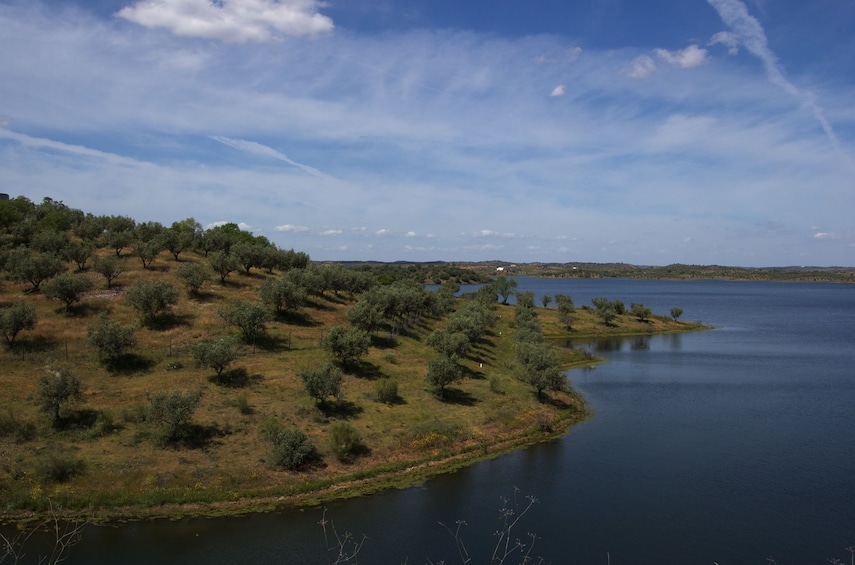 Full-Day Tour to Alqueva Dam and Moura with Boat Cruise