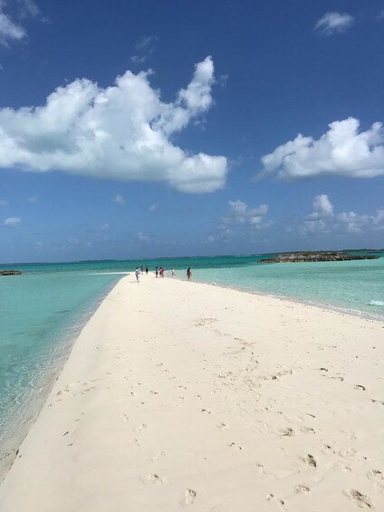 Pig Beach sandbar in the Bahamas