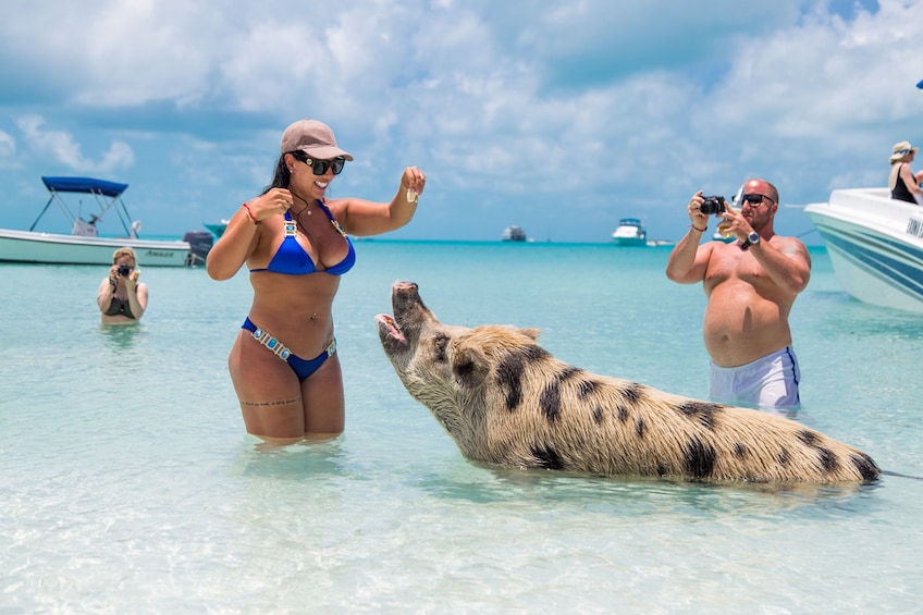 Pig Beach Express - Flight To Boat Tour