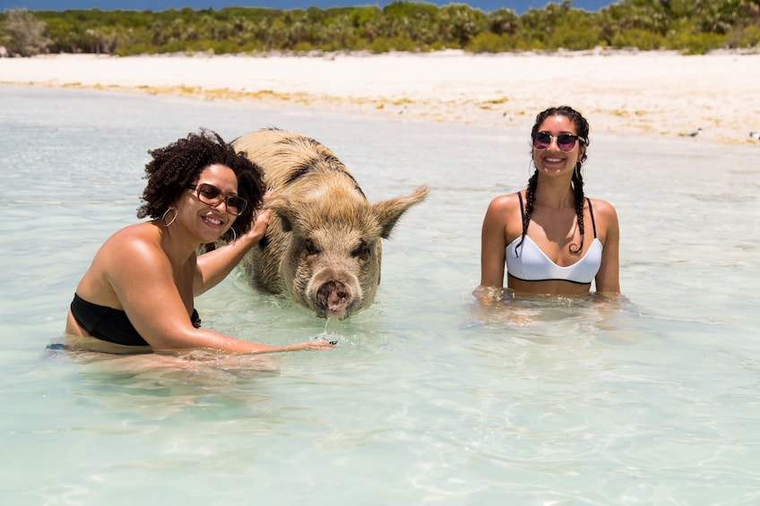 Two women pose with pig in the waters of Exuma, Bahamas