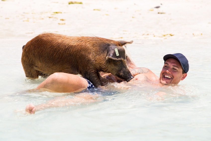 Full-Day Exuma Adventure with Swimming Pigs