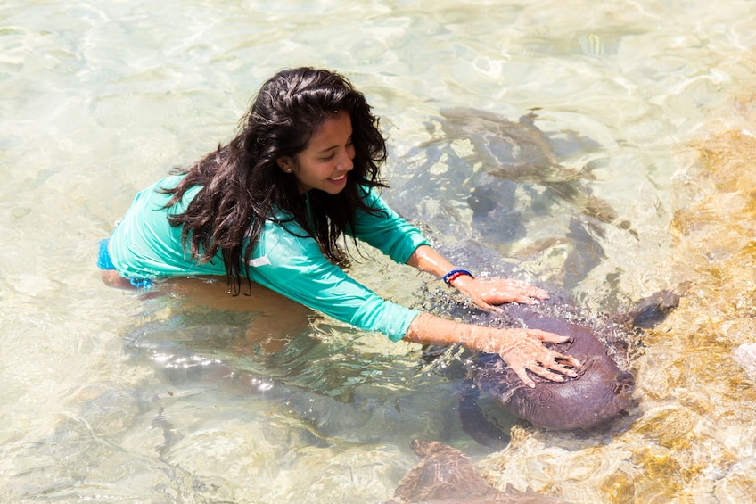 Woman pets sea creature in shallow waters of Exuma, Bahamas