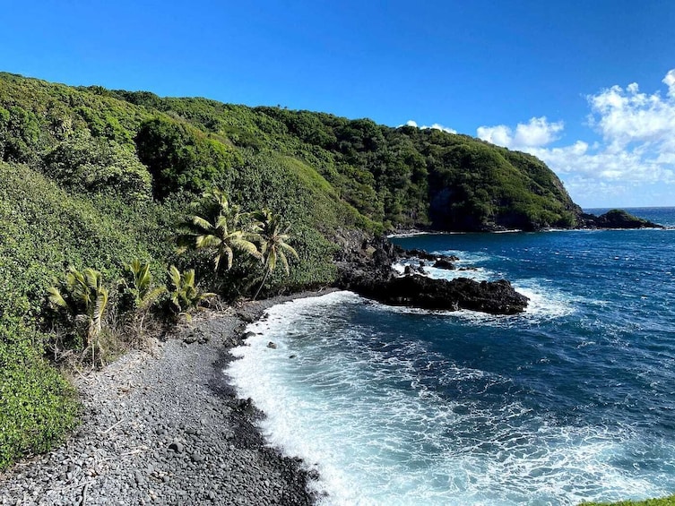 Small Group Road to Hana Waterfalls & Lunch