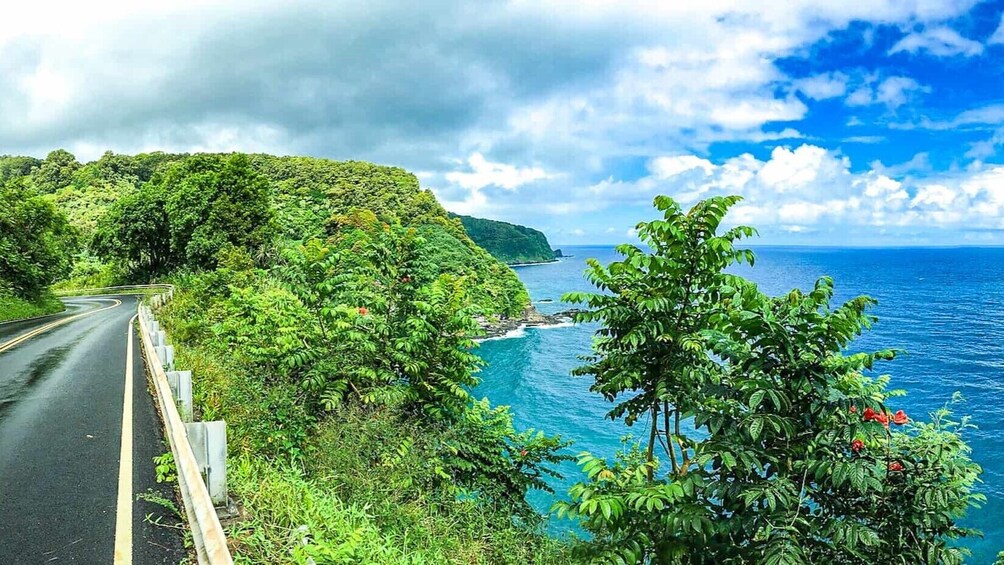 Small Group Road to Hana Waterfalls & Lunch