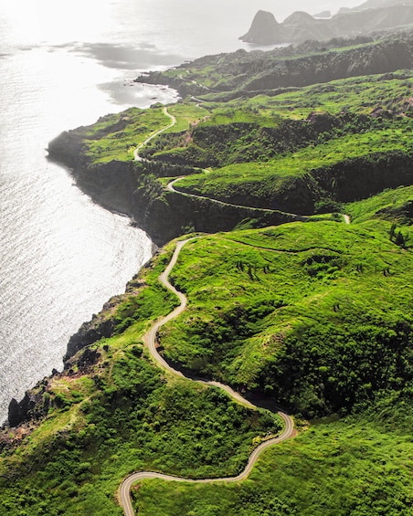 Small Group Road to Hana Waterfalls & Lunch