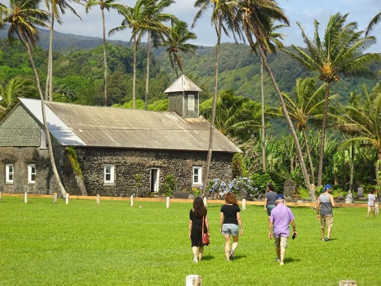 Small Group Road to Hana Waterfalls & Lunch