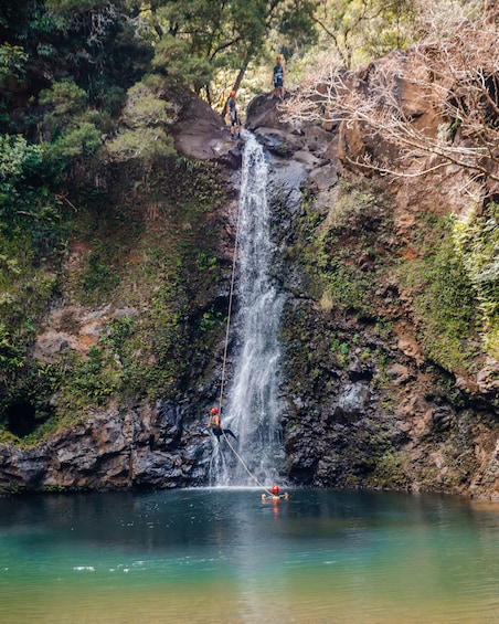 Small Group Road to Hana Waterfalls & Lunch