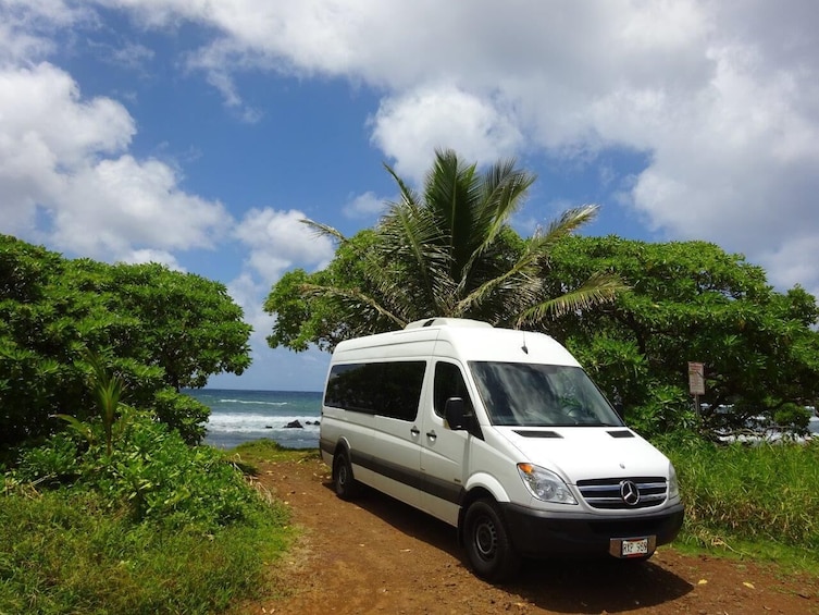 Small Group Road to Hana Waterfalls & Lunch