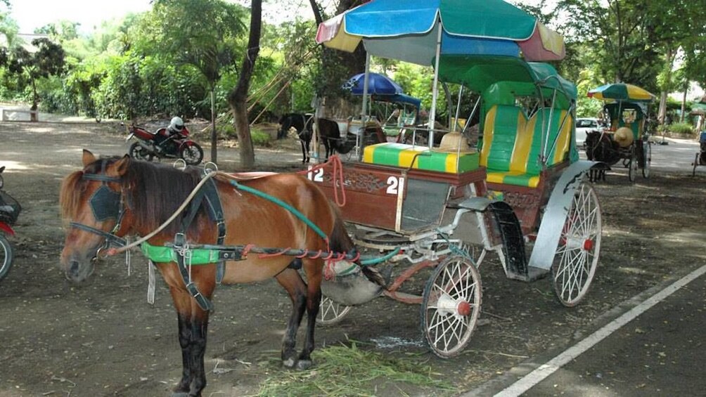 Horse carriage exploring the main ancient ruined temples of Wiang Kum Kam