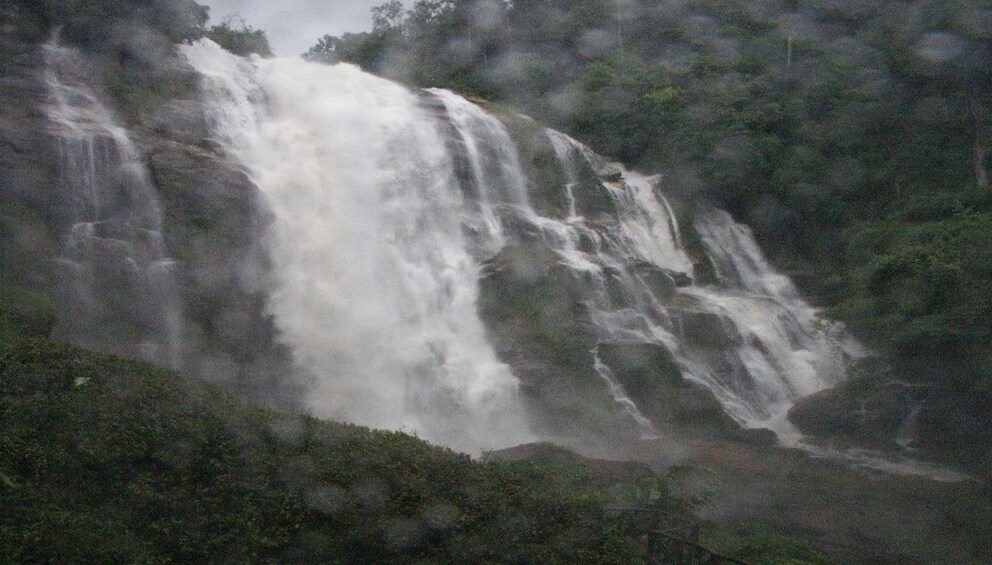 Doi Intanon National Park - Thailand's Highest Peak 