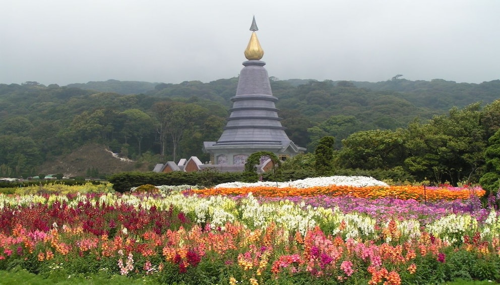 Doi Intanon National Park - Thailand's Highest Peak 