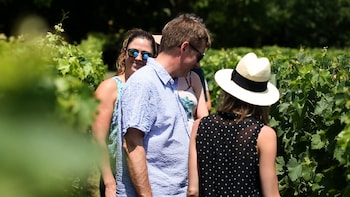 Half-Day Loire Valley Wine tour to Vouvray