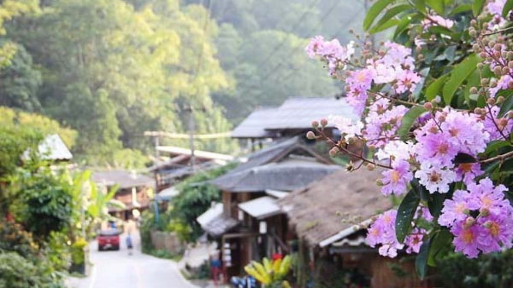 Mae Kham Pong Village Tour