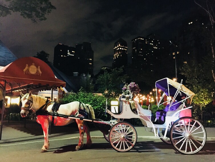 Central Park, Rockefeller & Times Square Horse Carriage Ride