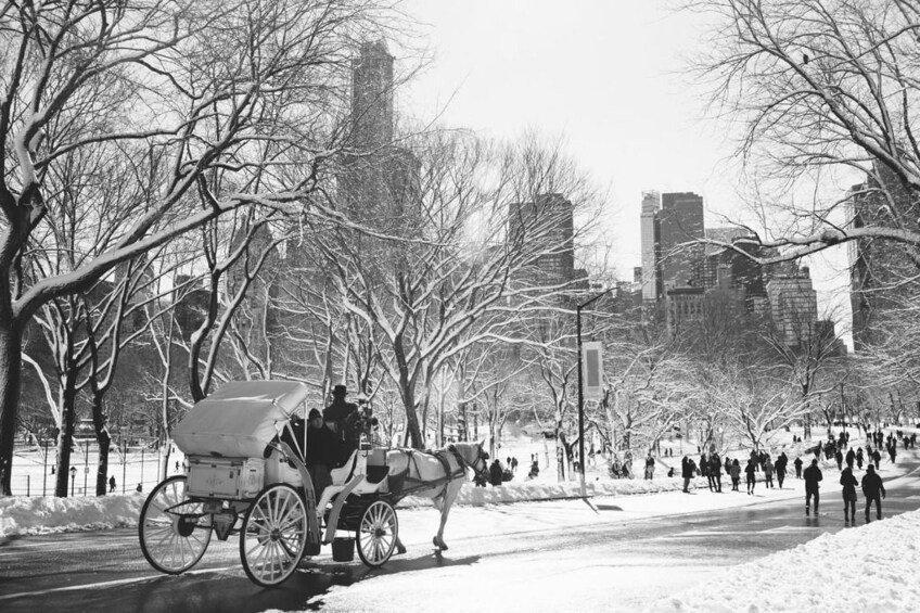Central Park, Rockefeller & Times Square Horse Carriage Ride
