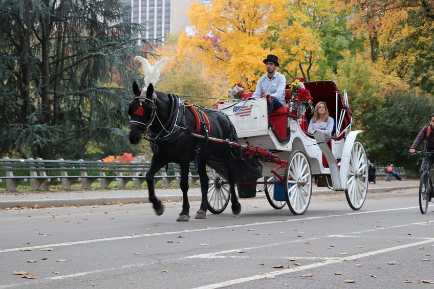 Central Park, Rockefeller & Times Square Horse Carriage Ride