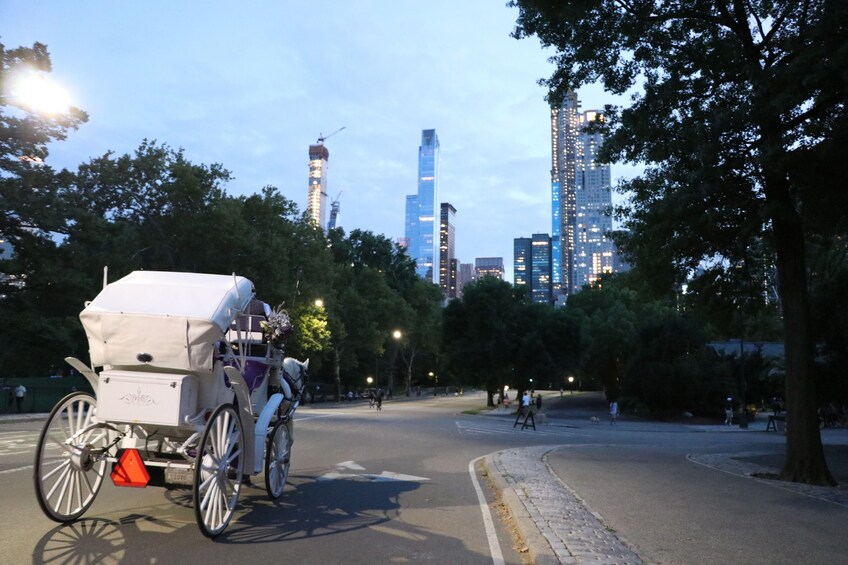 Short Central Park Evening Horse Carriage Ride