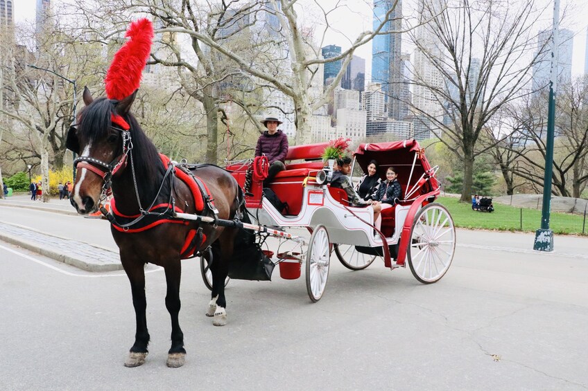 Short Central Park Evening Horse Carriage Ride