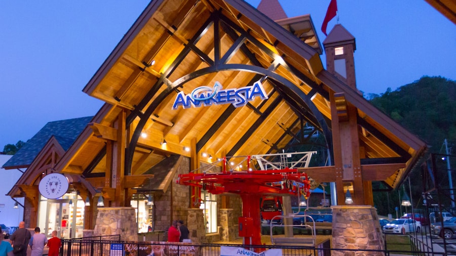 Enjoy the Magic in the Mountains of Beautiful Anakeesta