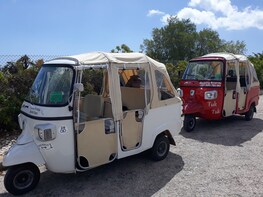 Discover Albufeira in a funny tuk tuk