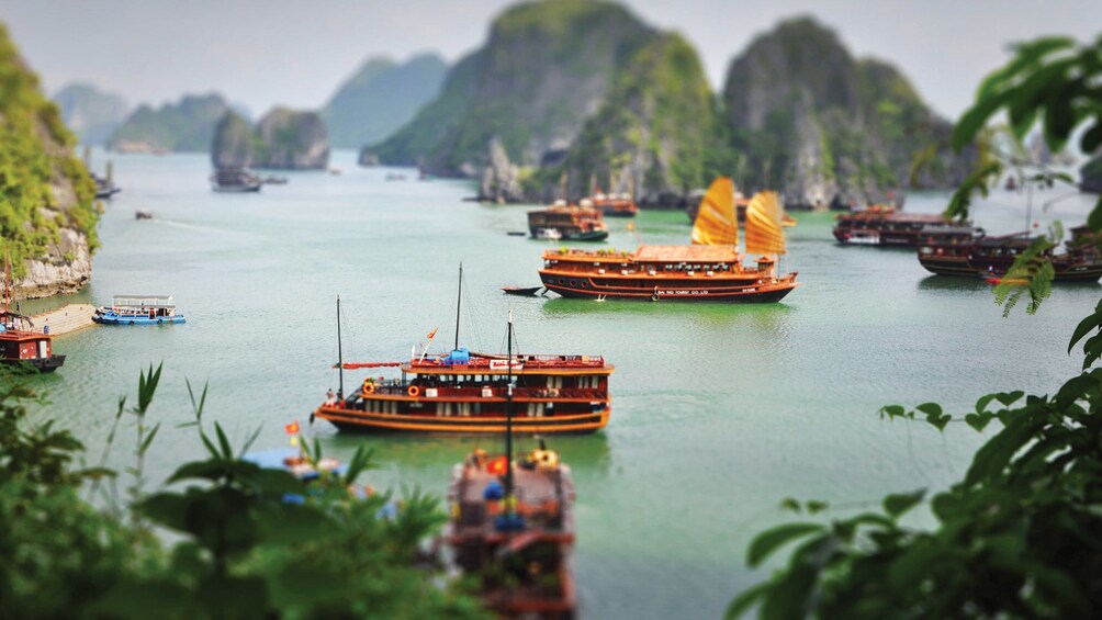Boats sailing in Bai Tu Long Bay