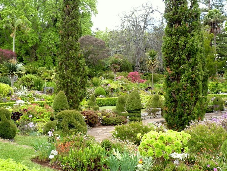 Private Service VIP Half-day Flower Tour