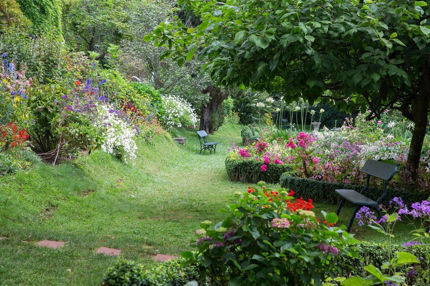 Private Service VIP Half-day Flower Tour