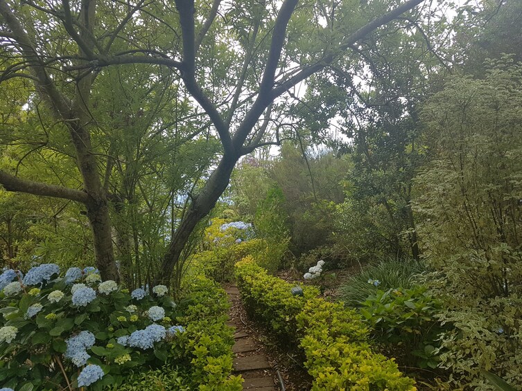 Private Service VIP Half-day Flower Tour
