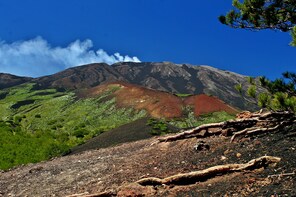 Etna & Wine Tour from Catania