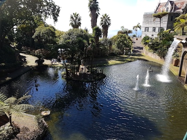 Tour privado de medio día por los jardines de Madeira