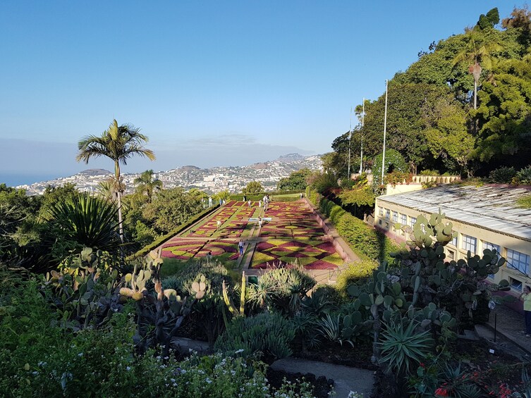 Private Service VIP Half-day Garden Tour 
