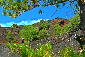 Etna & Taormina from Catania