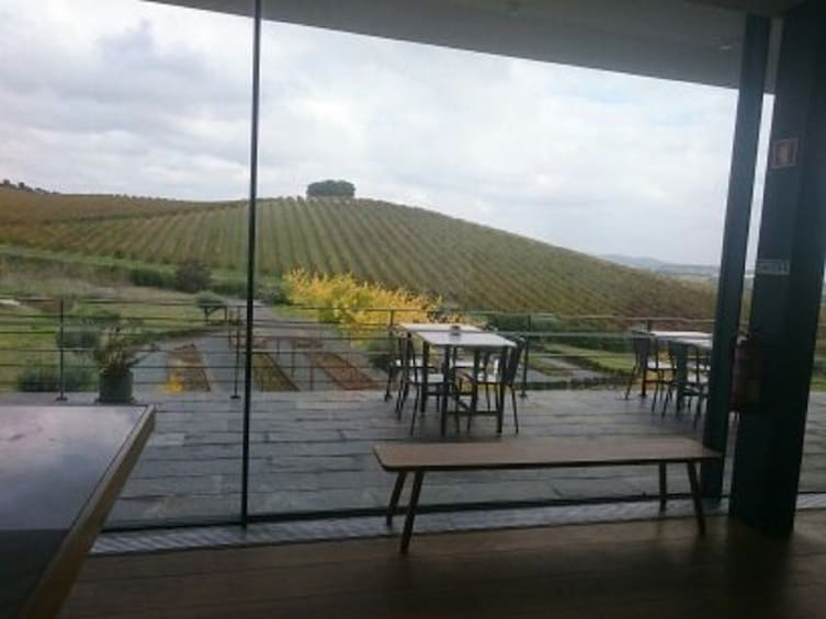 Show item 2 of 8. Private Tour to Évora - History, Olive Oil, Wine, and Cork