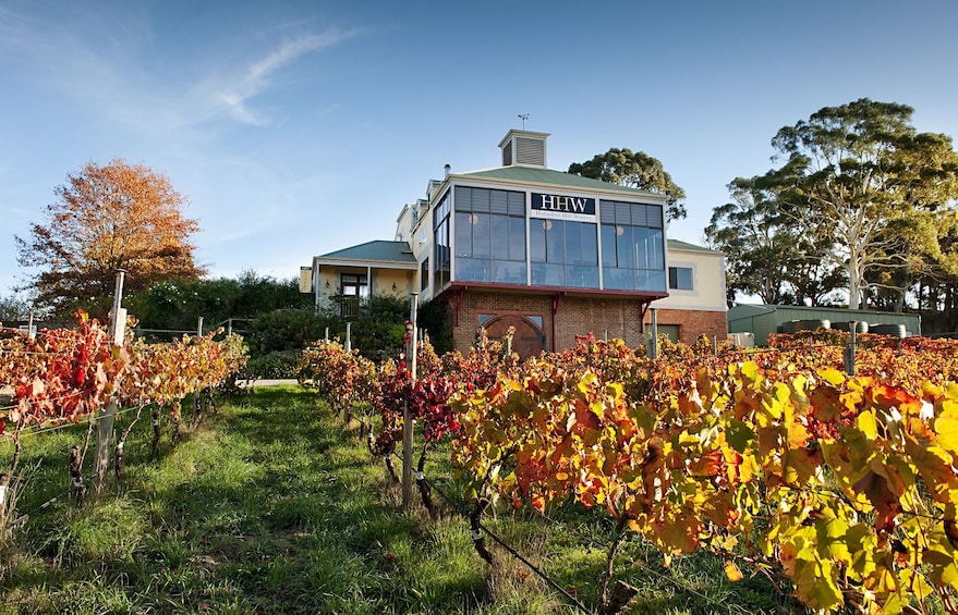 Gourmet Food & Wine Tour - Adelaide Hills