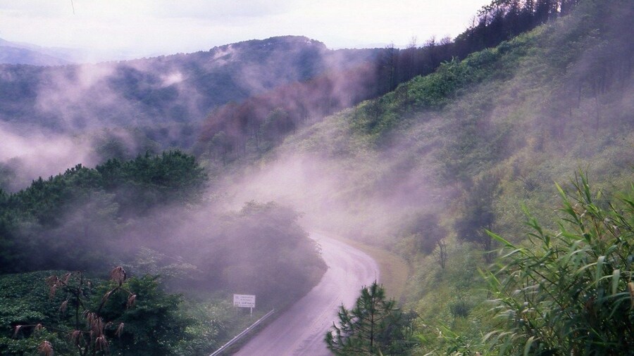 Doi Tung & Royal Villa